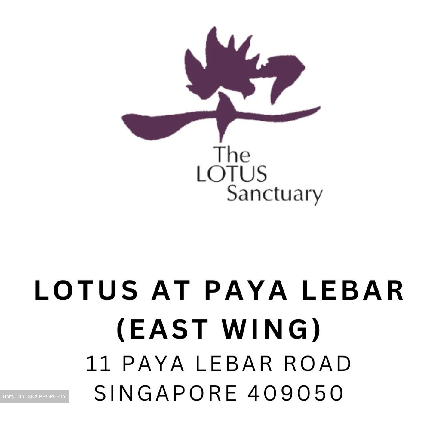 Paya Lebar Road (D14), Condominium #489127551